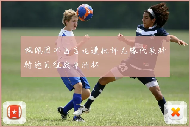 佩佩因不当言论遭批评无缘代表科特迪瓦征战非洲杯