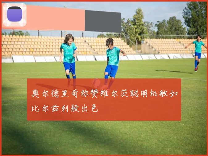 奥尔德里奇称赞维尔茨聪明机敏如比尔兹利般出色