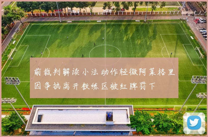 前裁判解读小法动作轻微阿莱格里因争执离开教练区被红牌罚下